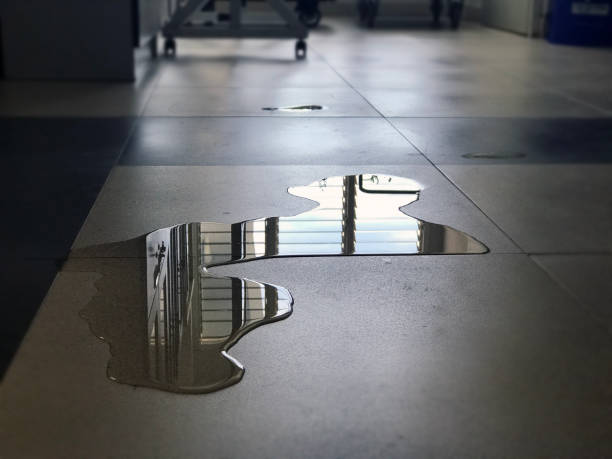 Best Water damage contractors near me  in Shougal, WA