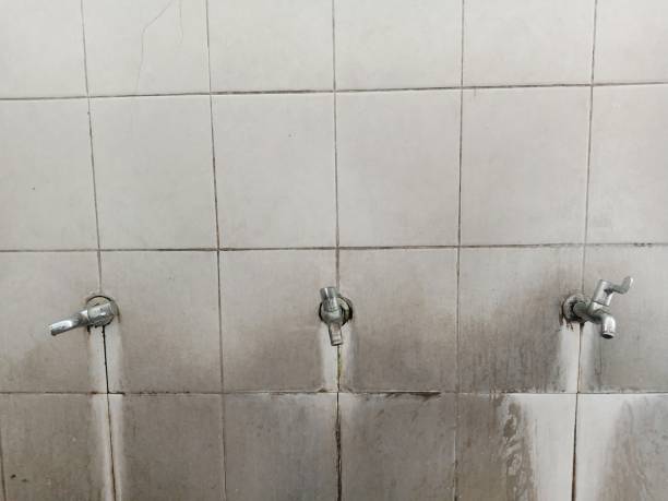Best Residential water damage restoration  in Shougal, WA