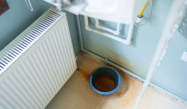 Best Basement water damage restoration  in Shougal, WA
