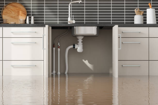 Best Sewage cleanup and water damage restoration  in Shougal, WA
