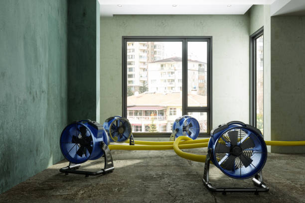 Best Basement water damage restoration  in Shougal, WA